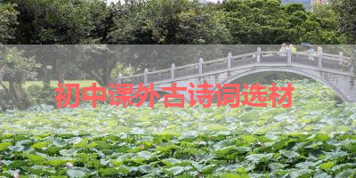 初中课外古诗词选材 