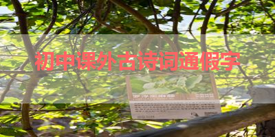 初中课外古诗词通假字 