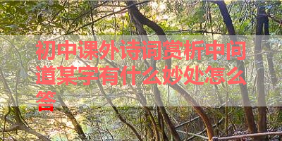 初中课外诗词赏析中问道某字有什么妙处怎么答 