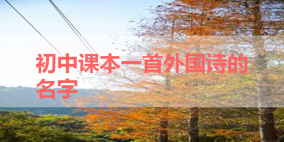 初中课本一首外国诗的名字 