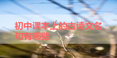 初中课本上的古诗文名句有哪些 