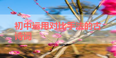 初中运用对比手法的古诗词 
