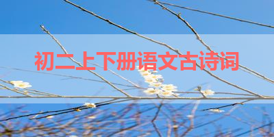 初二上下册语文古诗词 