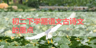 初二下学期语文古诗文的重点 