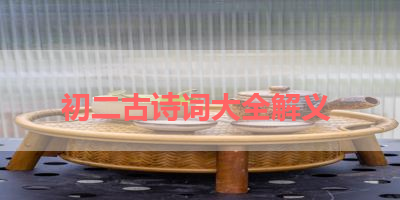 初二古诗词大全解义 