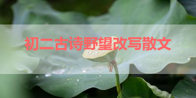 初二古诗野望改写散文 