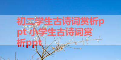 初二学生古诗词赏析ppt 小学生古诗词赏析ppt