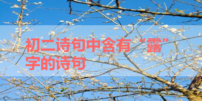 初二诗句中含有“露”字的诗句 