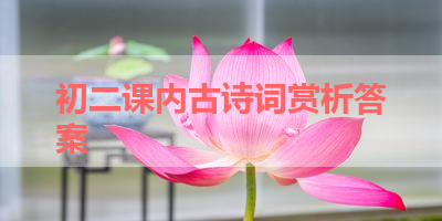 初二课内古诗词赏析答案 