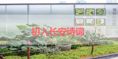 初入长安诗词 