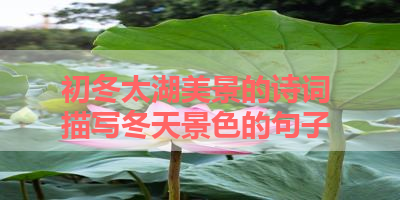 初冬太湖美景的诗词 描写冬天景色的句子 