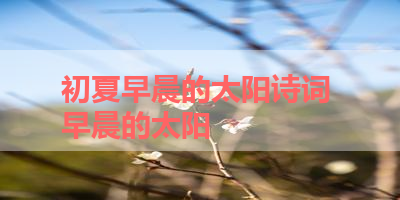 初夏早晨的太阳诗词 早晨的太阳