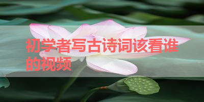 初学者写古诗词该看谁的视频 
