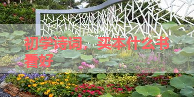 初学诗词，买本什么书看好 