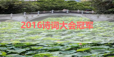 2016诗词大会冠军 