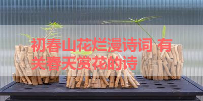 初春山花烂漫诗词 有关春天赏花的诗 