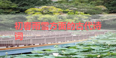 初春雨雪方面的古代诗词 
