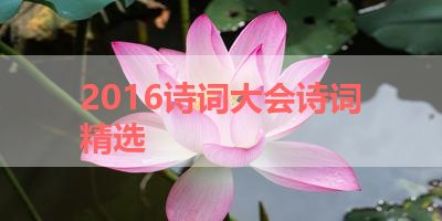 2016诗词大会诗词精选 