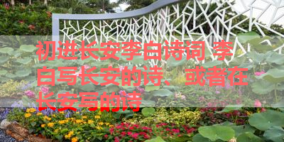 初进长安李白诗词 李白写长安的诗、或者在长安写的诗 