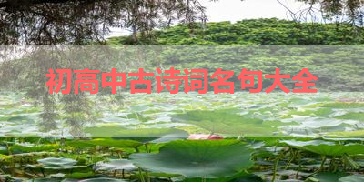 初高中古诗词名句大全 