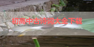 初高中古诗词大全下载 