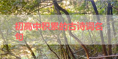 初高中积累的古诗词名句 