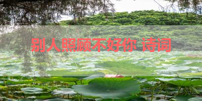 别人照顾不好你 诗词 
