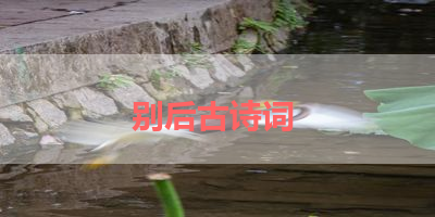 别后古诗词 