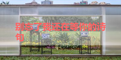 别忘了我还在等你的诗句 