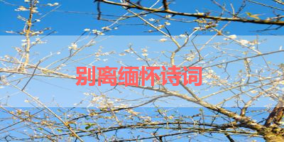 别离缅怀诗词 
