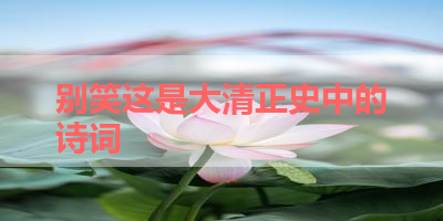别笑这是大清正史中的诗词 