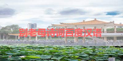 别老母诗词百度汉语 