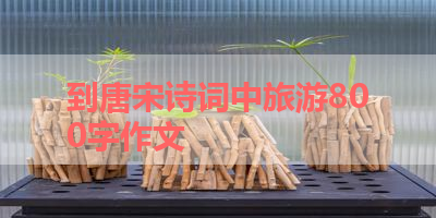 到唐宋诗词中旅游800字作文 