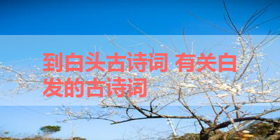 到白头古诗词 有关白发的古诗词 