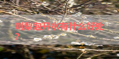 刺梨泡开水有什么好处？ 