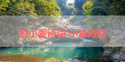 割小麦诗词 小麦诗词