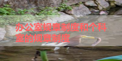 办公室规章制度和个科室的规章制度 