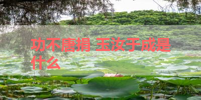 功不唐捐 玉汝于成是什么 