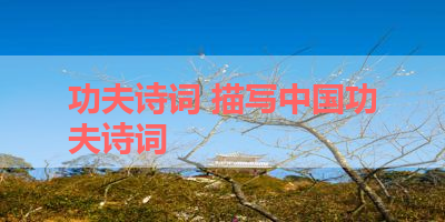 功夫诗词 描写中国功夫诗词