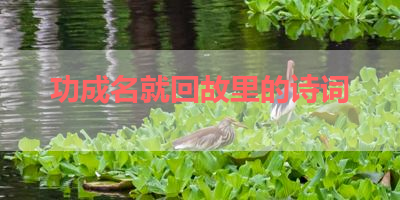 功成名就回故里的诗词 