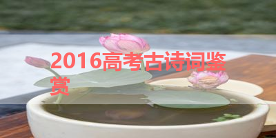 2016高考古诗词鉴赏 