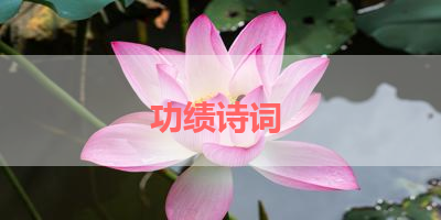 功绩诗词 