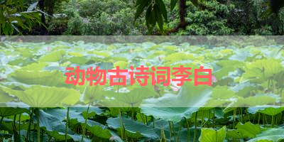 动物古诗词李白 