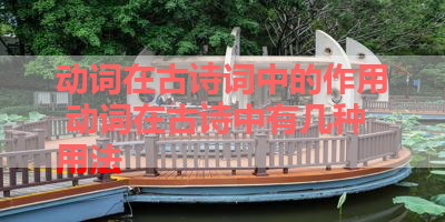 动词在古诗词中的作用 动词在古诗中有几种用法 