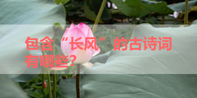 包含“长风”的古诗词有哪些？ 
