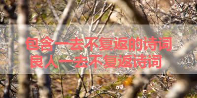 包含一去不复返的诗词 良人一去不复返诗词