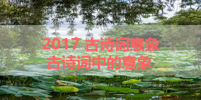 2017 古诗词意象 古诗词中的意象