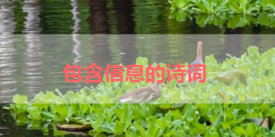 包含信息的诗词 