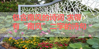 包含南风的诗词 求带有“南风”二字的诗句 