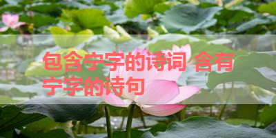包含宁字的诗词 含有宁字的诗句 